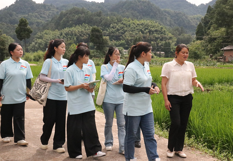 深入觀佛村，共探振興路
