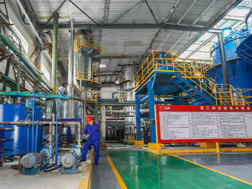 “碳凈工坊”調研團：走進金達鈦業：探尋綠色低碳發展路徑