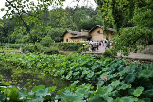 湘潭大學機械工程與力學學院赴響塘鎮社會實踐團文化調研系列活動紀實