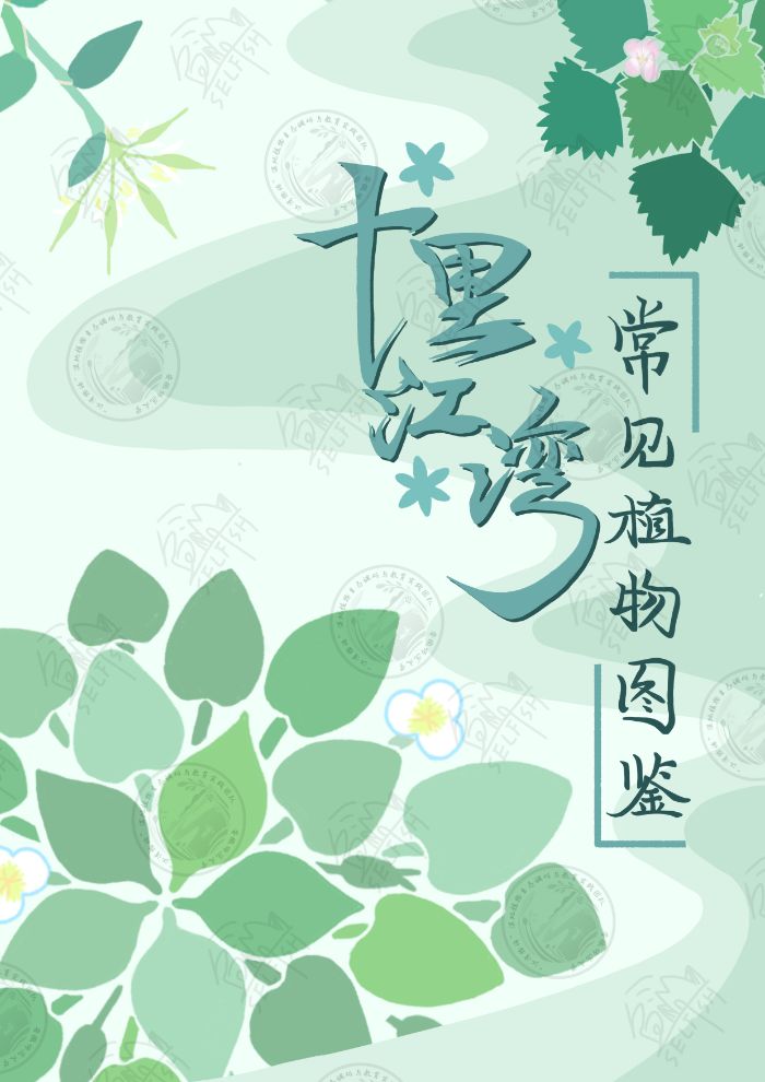 完成常見植物圖鑒優化，科學呈現江灣生態之美——“江灣物語”濕地植物生態調研與教育本科生實踐團隊常見植物圖鑒成果展示