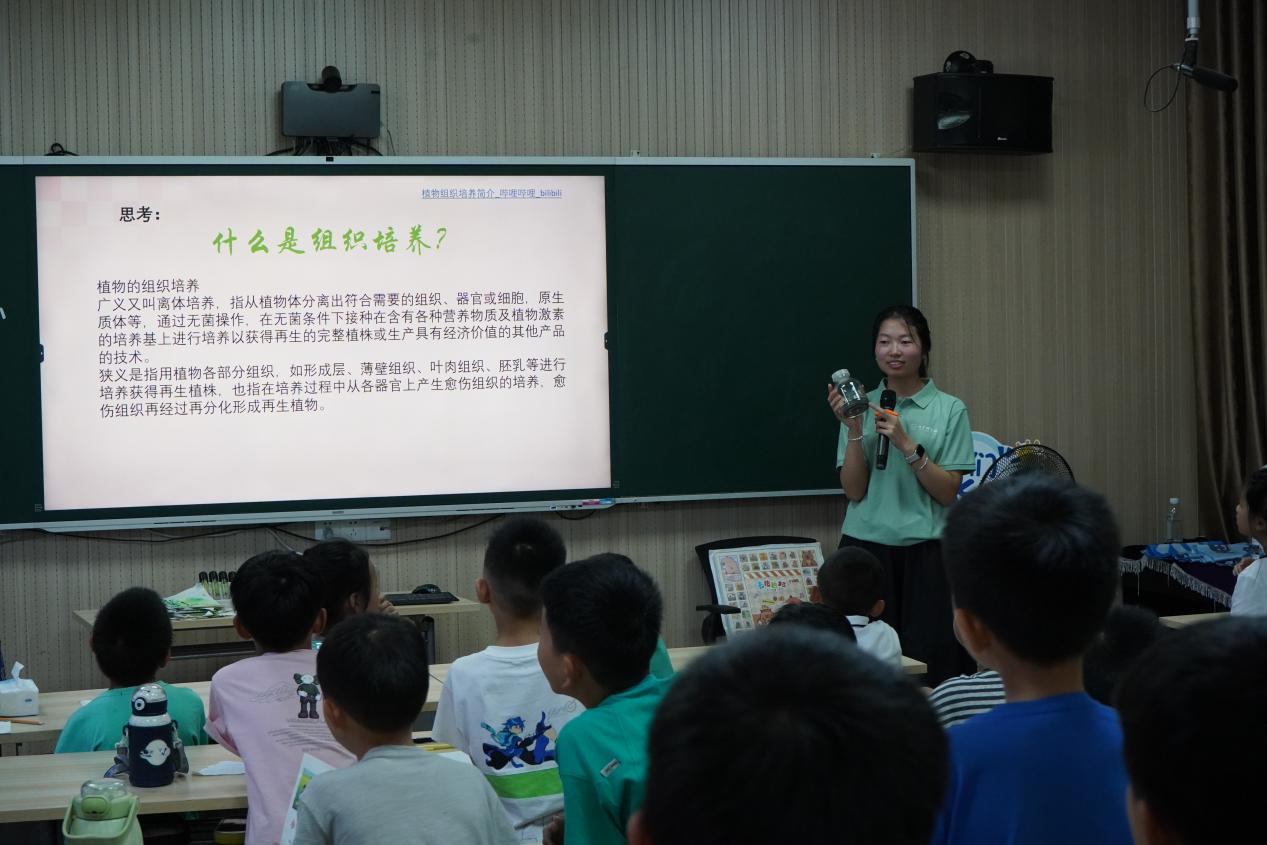 解碼“竹之問”：浙農林竹研院“竹育未來 青春桐行”實踐團深耕鄉村課堂開啟生物育種科技