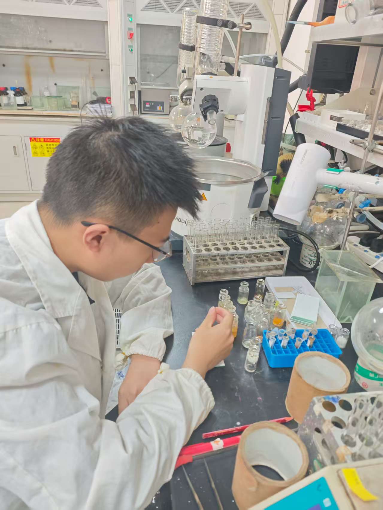 植物王國(guó)尋寶記—記暑期中科院植物所社會(huì)實(shí)踐