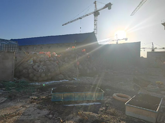 山東大學(xué)“纖智未來(lái)”調(diào)研團(tuán)：以科技之力，守護(hù)藍(lán)色海洋