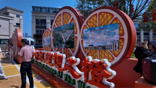 橙就夢想：一幅鄉村振興的“秭歸畫卷”——小橙故事實踐隊探尋臍橙產業融合發展的成功模式