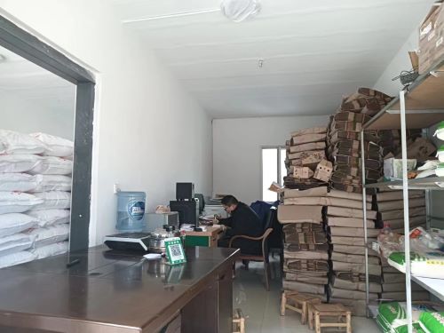 與時代同行，為家鄉添彩——返家鄉樹新風社會實踐團開展大學生“返家鄉”社會實踐活動