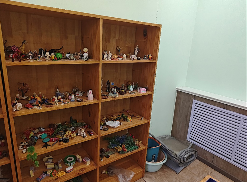 山東大學（威海）氣有浩然心理調研團：筑夢心靈燈塔，共繪高校心理健康新篇章