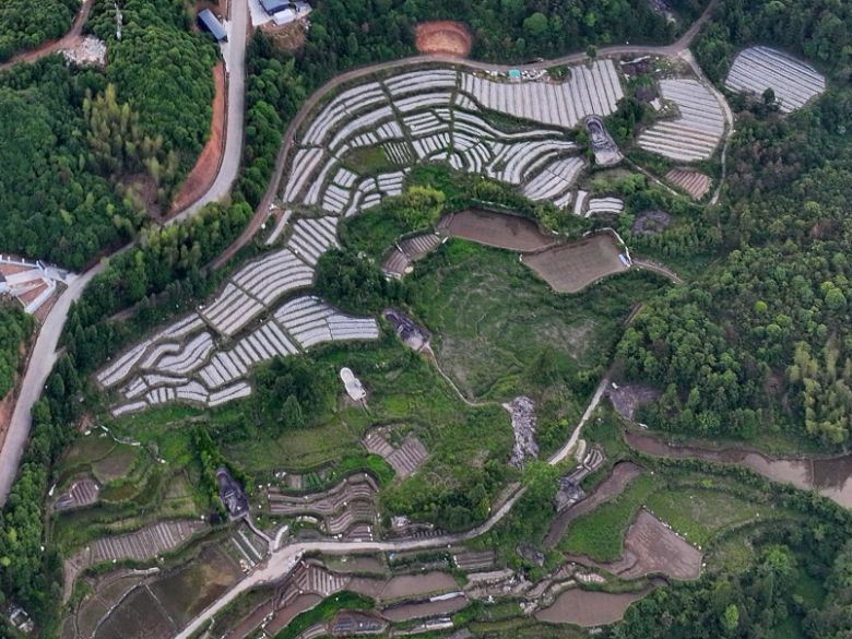 高山生態賦能團走進泰順：以企帶村，“肥田興蔬”共富鄉村（二）