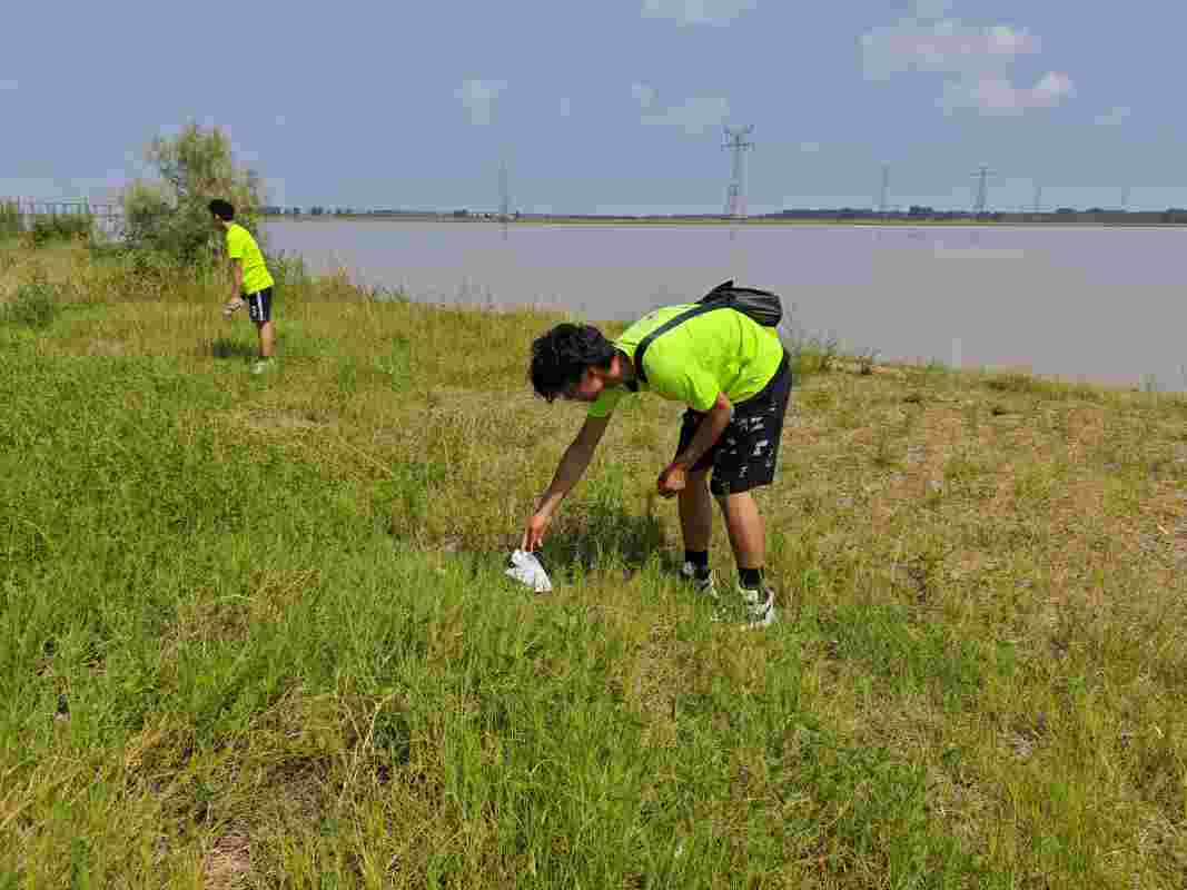 共筑綠色屏障，守護黃河安瀾