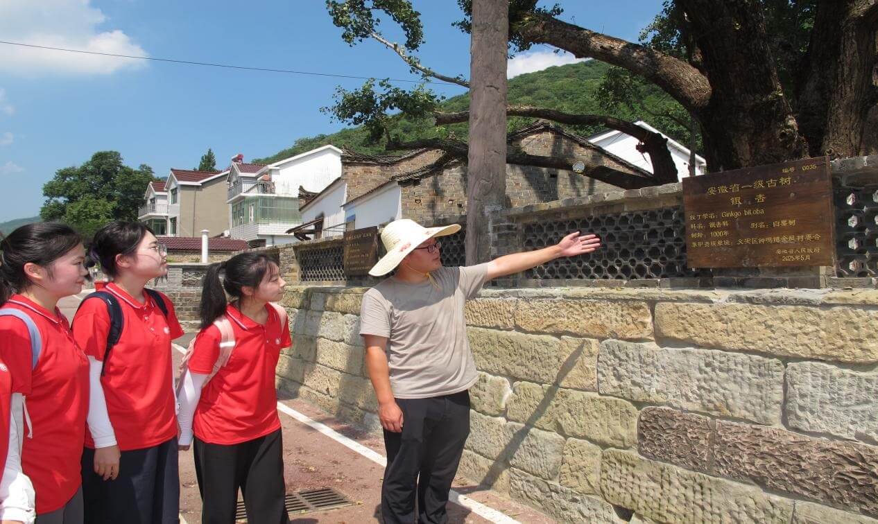 古樹保護+普法宣講：大學(xué)生為綠色鄉(xiāng)村建設(shè)注入法治力量