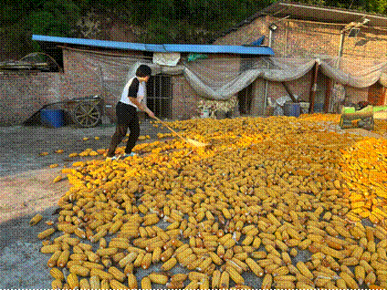 安徽工業(yè)大學管理科學與工程學院赴鄉(xiāng)村服務實踐