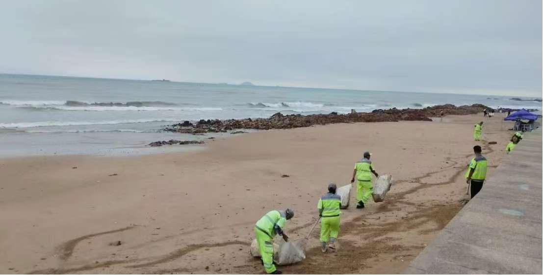 青島你我共生，你我同愛青島 —— 綠色行動組環境衛生調查紀實