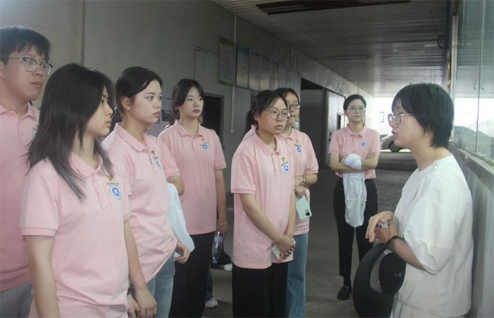 探秘菇菇農場：一場與自然共生的實踐課堂