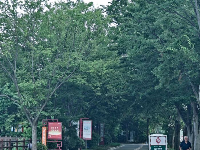 從鍋底湖到紅石榴：一個蘇北回民村的共生答卷