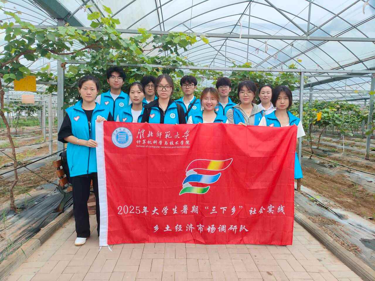 淮師學子“三下鄉”：葡萄架下探尋鄉村經濟新脈動