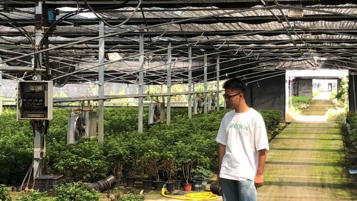 聚焦合作社社員參與困境：紅色引擎調研團赴宿遷可力園林綠化公司探尋破局之道