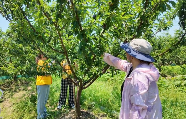 青春踐清廉，食安惠鄉鄰︱浙江工商大學食品青志安茗小隊暑期實踐紀實