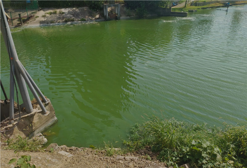 問渠那得清如許，為有源頭活水來——山東大學(xué)生命科學(xué)學(xué)院“虞衡”關(guān)于生