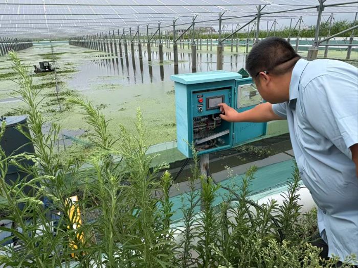 南京林業大學Eco-eight生態小隊走訪宜興企業探尋光伏產業發展