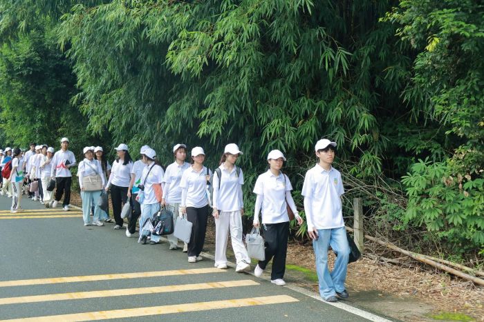 把論文寫在大地上：良井鎮支教行動啟新篇