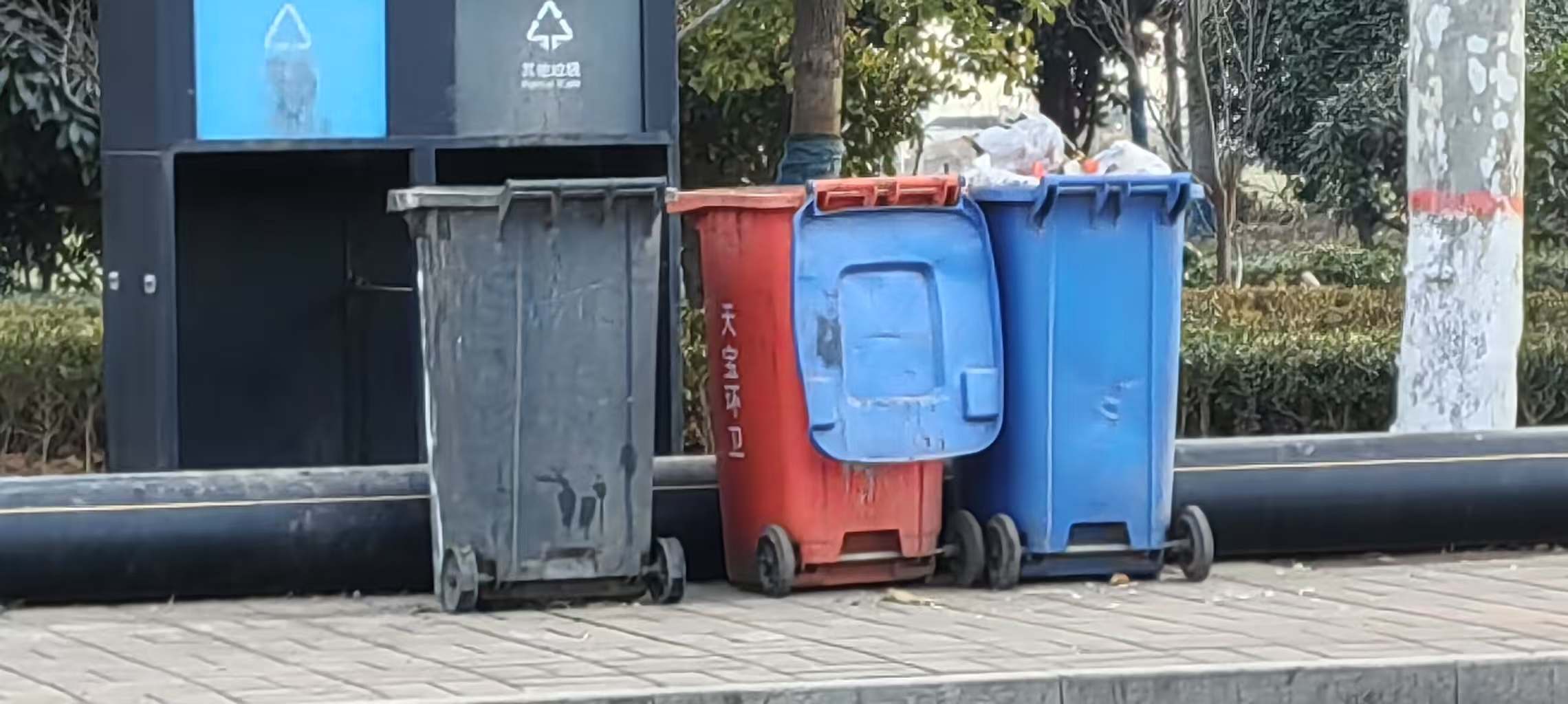 調(diào)查社區(qū)垃圾分類情況，以小行動(dòng)撬動(dòng)大環(huán)保