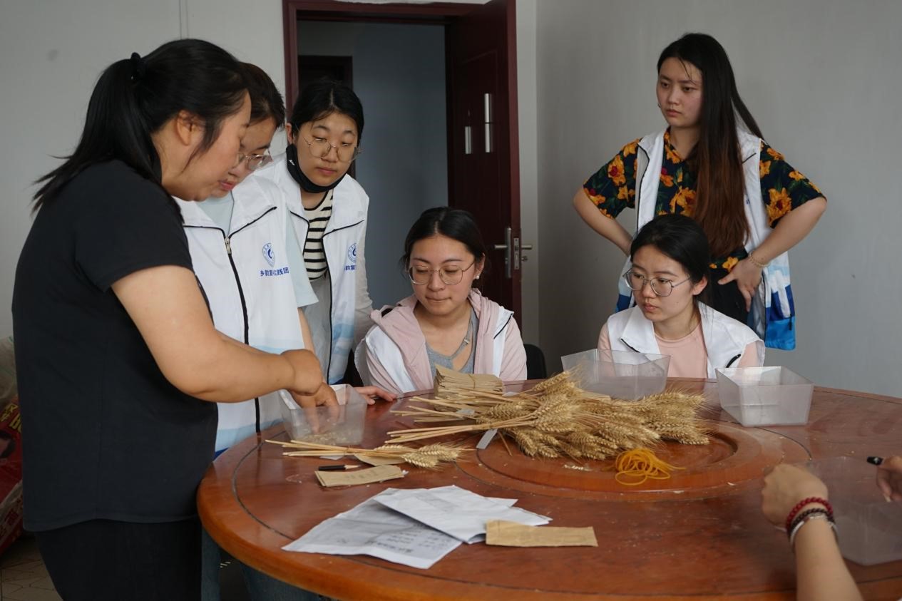 智慧生態(tài)農(nóng)業(yè)興，鄉(xiāng)村振興轉(zhuǎn)型強