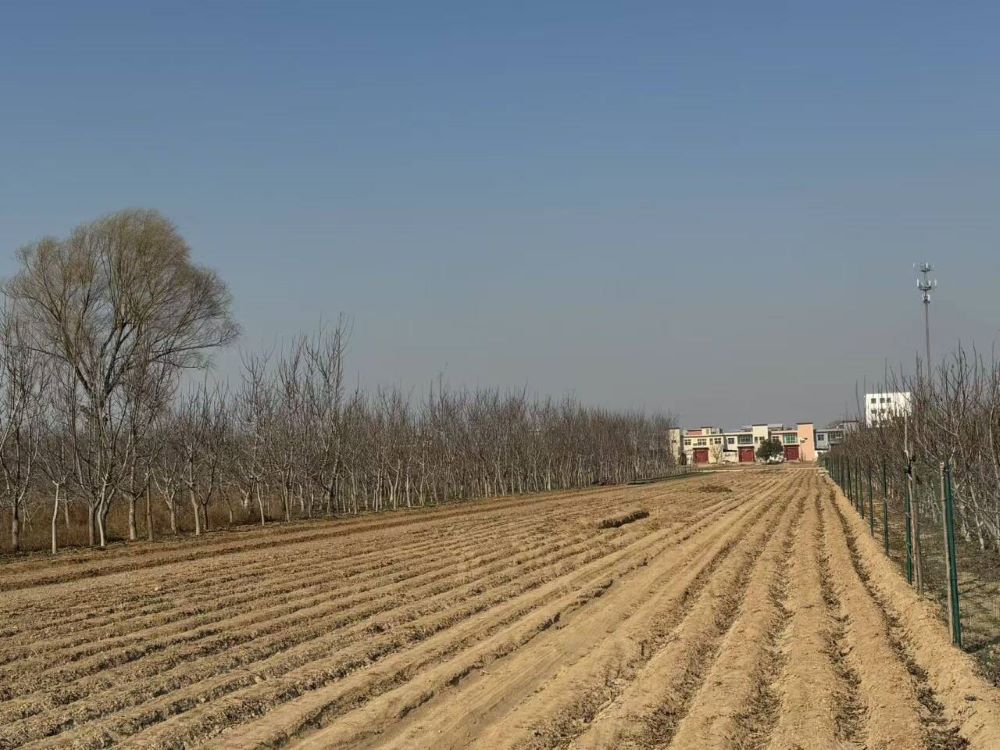 欣欣向融調研團：聚焦廣武鎮，智慧農業助力鄉村振興