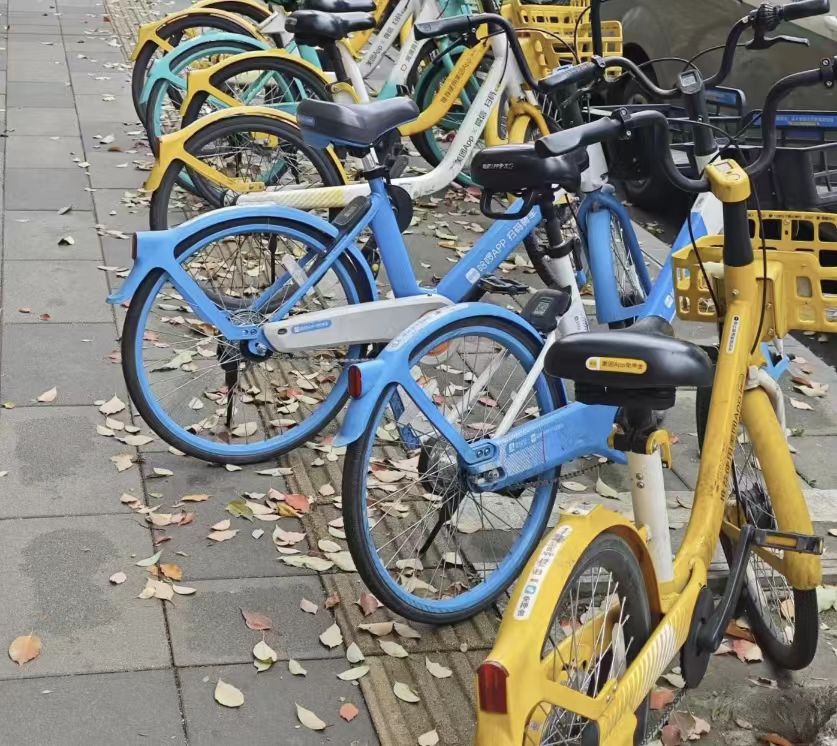   拂塵凈道，愛暖盲途——四川農業大學學子開展盲道清理與盲人需求調研行動