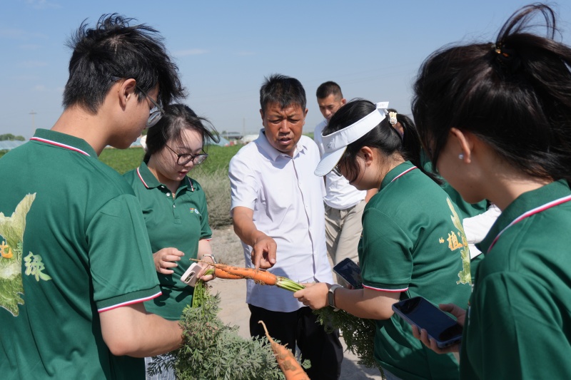 陜科大輕工學子三下鄉：青春賦能綠農路 科技深耕沃野間