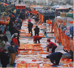 山海無遮，鄉音流轉