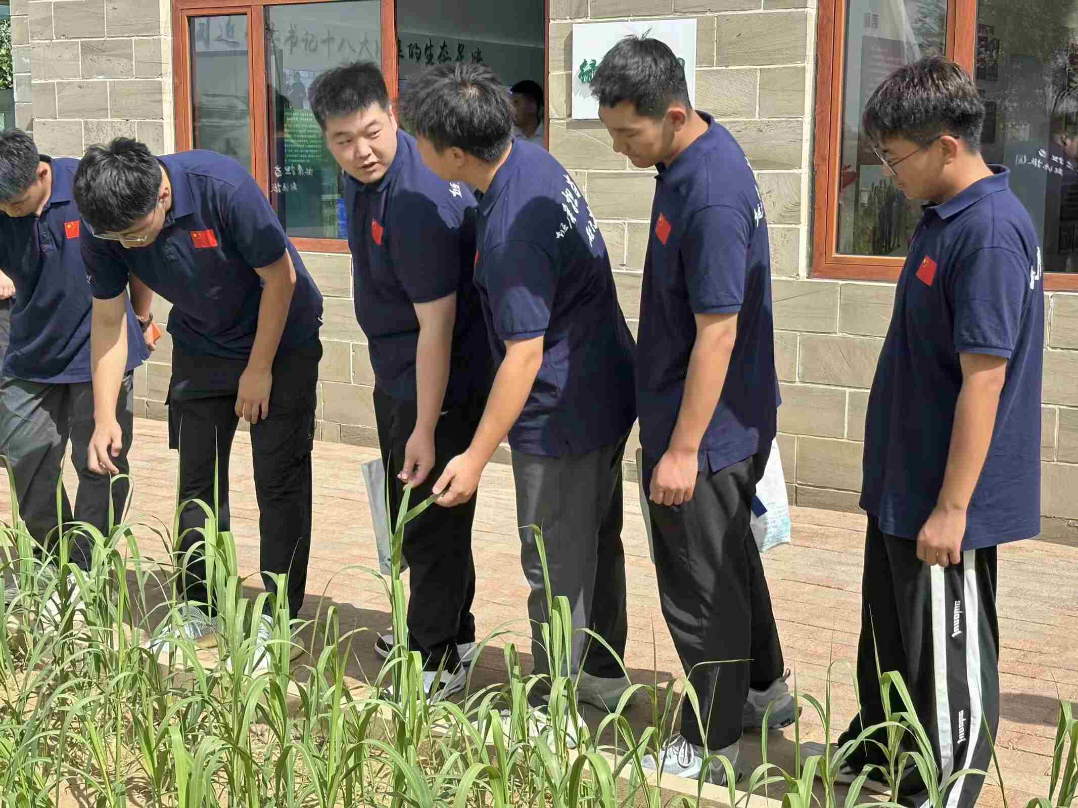 走進神東采煤沉陷區生態基地：見證綠色奇跡