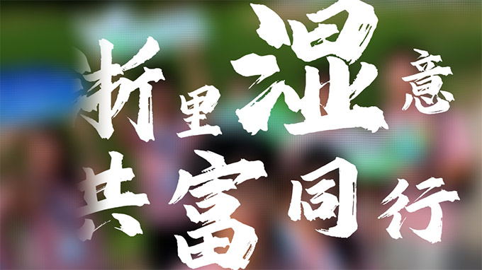 【浙里“濕”意】玉環漩門灣國家濕地公園丨滄海桑田繪青綠畫卷，鷺棲民樂譜共富華章