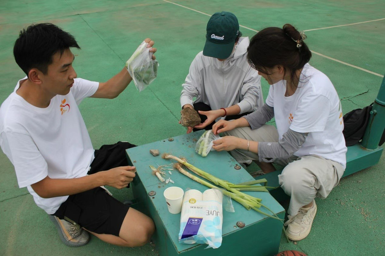 教育煥新顏——科學體育并蒂開