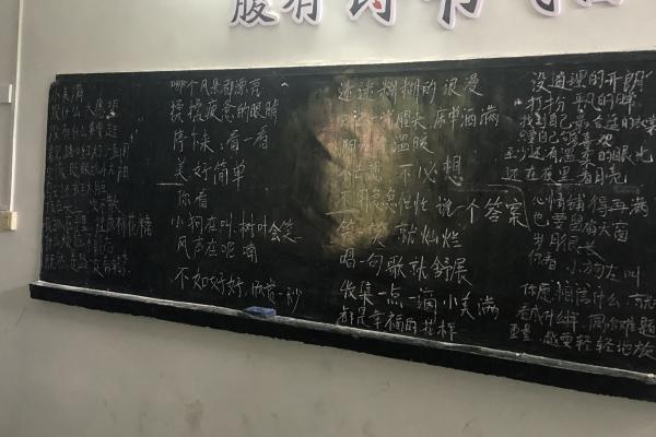 暑期社會實踐/武昌理工學院“青春筑夢”通城志愿服務隊開展 “韻動心聲”音樂與手勢舞融合藝術課程