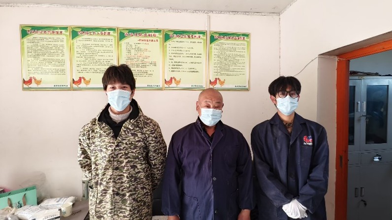 用心收集每一個雞蛋：大學生的鄉村振興實踐活動