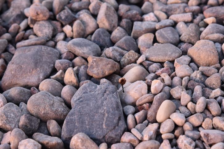 蟻行微末筑宏夢，塔聳云霄展壯圖