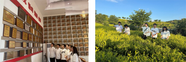 福建農林大學林學院實踐隊赴福安賽岐鎮調研：解碼茶鄉振興的生態密碼與紅色動能?