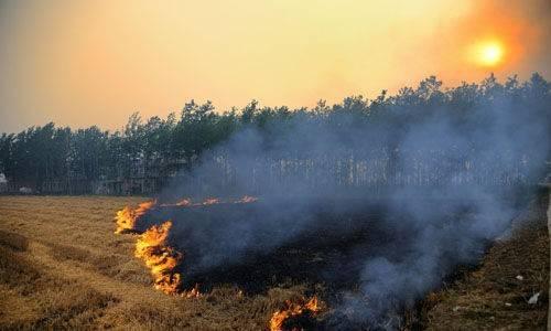 創(chuàng)新道路材料，變廢為寶，鑄就鄉(xiāng)村新發(fā)展——小麥秸稈瀝青道路