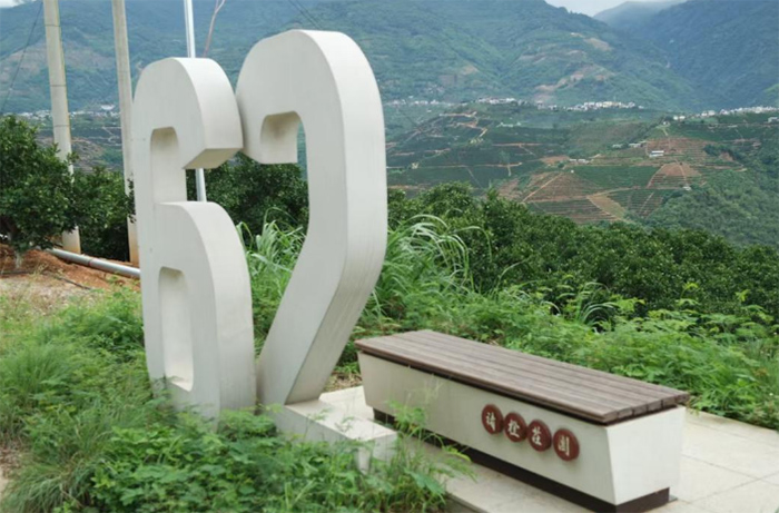 青春賦能鄉村振興：云南財大Citron柑韻團隊探秘戛灑柑橘產業發展路