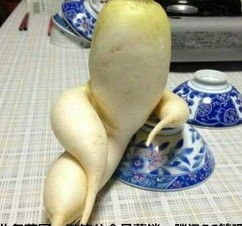 超搞笑圖片，讓你爆笑不停