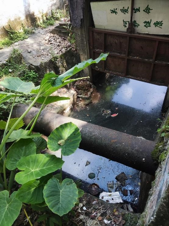 凈化水源，保護(hù)清潔水資源