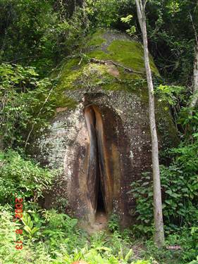 奇葩的自然景觀！讓人苦笑不得