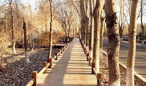 一封家書 “大學生活充滿青春活力和永遠燃燒著的少年之心”