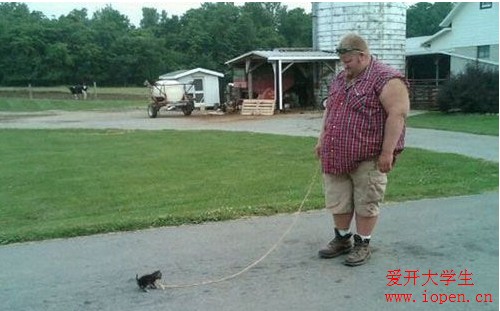 外國人遛狗就是和我們國人不一樣，遛狗都這么有個性