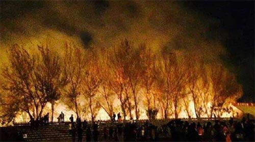 遼寧一男大學生放煙花向學姐表白引大火