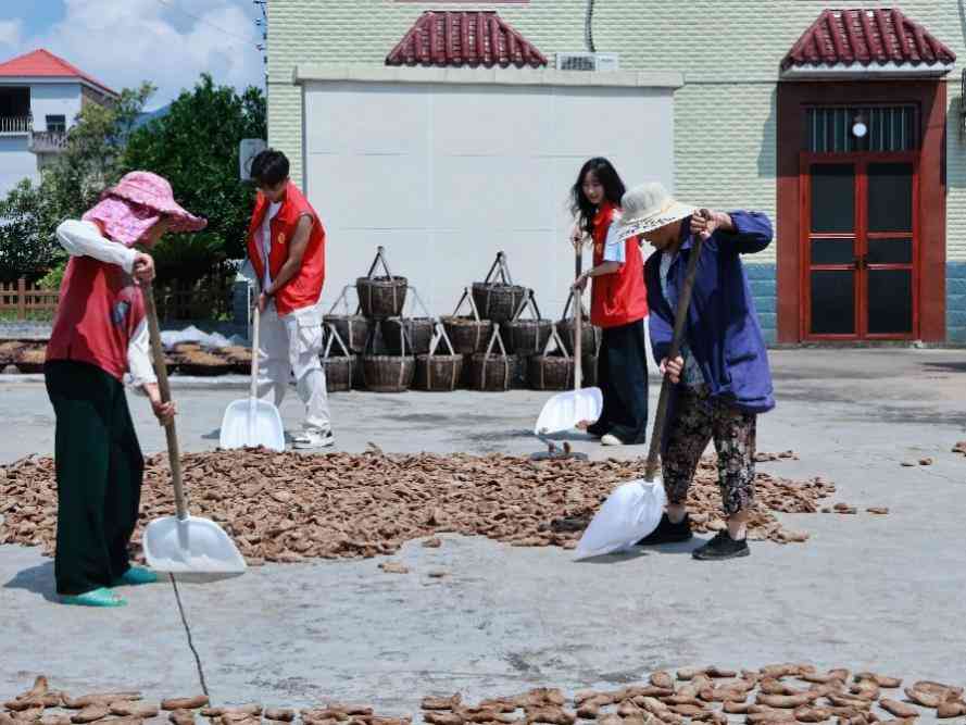 訪千年醬坊問非遺薪火 謁烈士豐碑續紅色基因