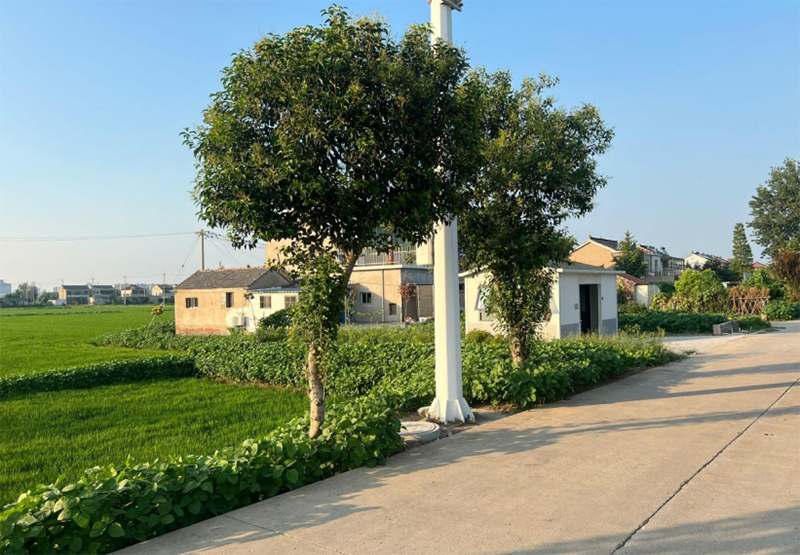 “紅綢紛染，青葉點綴，揮斥田間幾許風光”暑期社會實踐