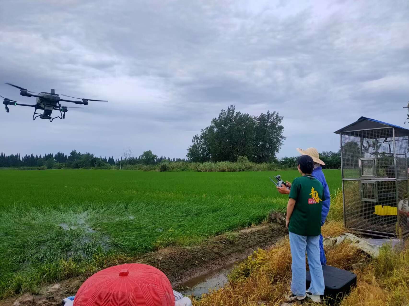 巢湖學(xué)院數(shù)學(xué)與大數(shù)據(jù)學(xué)院赴同大鎮(zhèn)“智造農(nóng)業(yè)，數(shù)聯(lián)鄉(xiāng)村”智慧農(nóng)業(yè)發(fā)展調(diào)研團(tuán)隊(duì)——陳婧 個(gè)人感悟