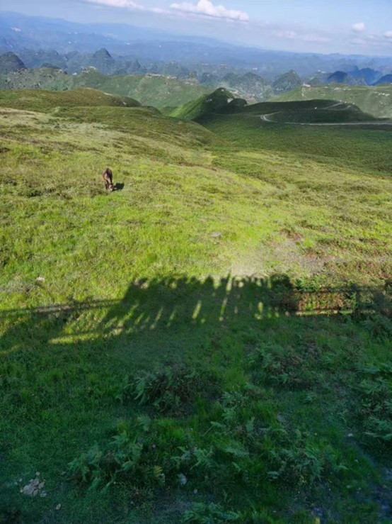 山東大學赴赫章支教調研活動