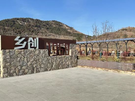 聊城大學醫學院2023級6班開展“鄉村振興齊魯行”樣板百村調研實踐