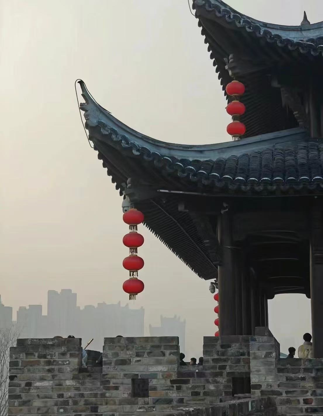 探尋鄉(xiāng)村振興之路：蕪湖的多彩實(shí)踐與豐碩成果